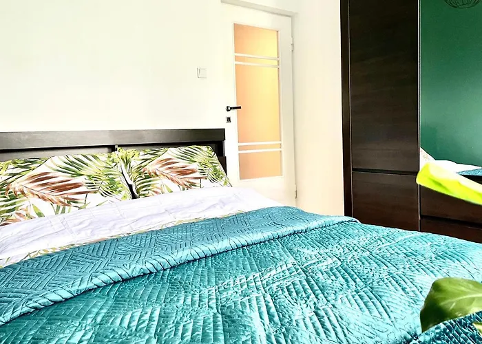 Przestronny Apartament W Centrum Rzeszowa